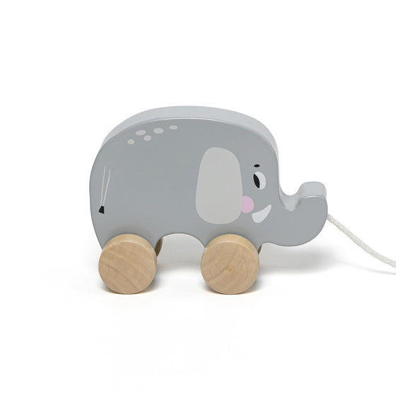 Éléphant pour marcher