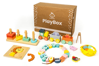 Jouets Montessori: Kit de Jeu L'Explorateur pour les 9-10 mois